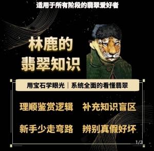 林鹿的翡翠知识，​用宝石眼光，系统全面的看懂翡翠-轻创副业圈