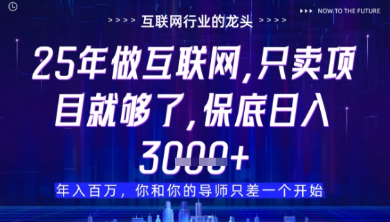 什么！25年你还在找项目做？风口早就变了，卖项目才是稳挣不赔【揭秘】-轻创副业圈