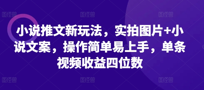 小说推文新玩法，实拍图片+小说文案，操作简单易上手，单条视频收益四位数-轻创副业圈