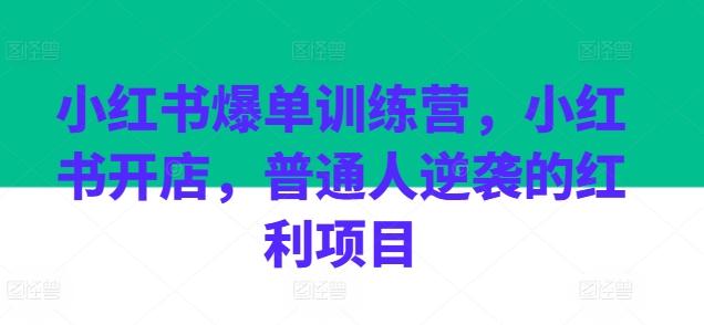 小红书爆单训练营，小红书开店，普通人逆袭的红利项目-轻创副业圈