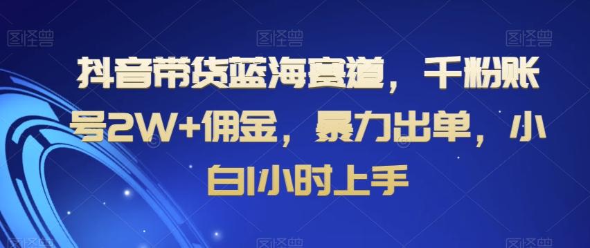 抖音带货蓝海赛道，千粉账号2W+佣金，暴力出单，小白1小时上手【揭秘】-轻创副业圈