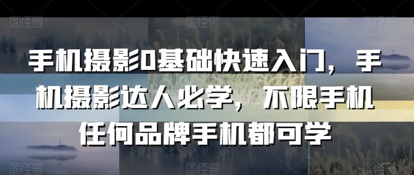 手机摄影0基础快速入门，手机摄影达人必学，不限手机任何品牌手机都可学-轻创副业圈
