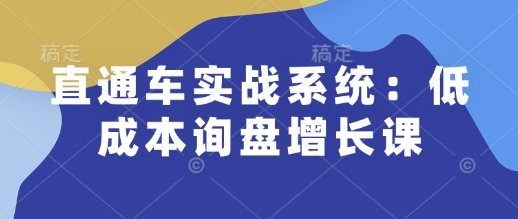 直通车实战系统：低成本询盘增长课，让个人通过技能实现升职加薪，让企业低成本获客，订单源源不断-轻创副业圈