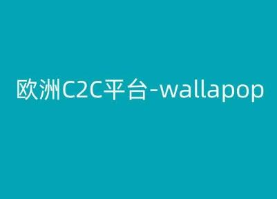 欧洲C2C平台-wallapop-kim跨境电商教程-轻创副业圈