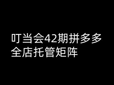 叮当会拼多多打爆班原创高阶技术第42期，拼多多全店托管矩阵-轻创副业圈