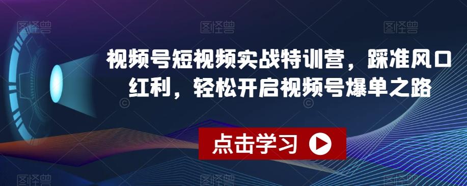 视频号短视频实战特训营，踩准风口红利，轻松开启视频号爆单之路-轻创副业圈