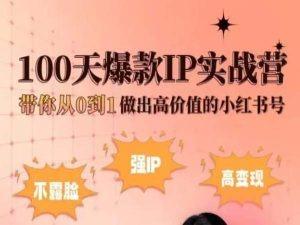 小红书100天爆款IP实战营，带你从0到1做出高价值的小红书号-轻创副业圈