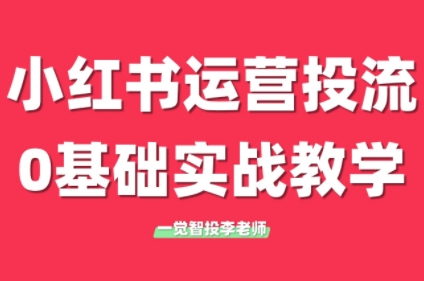 李老师·小红书运营投流，0基础实战教学(更新)-轻创副业圈