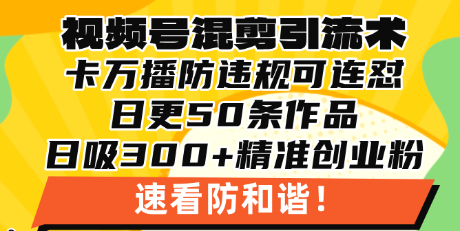 视频号混剪引流技术，500万播放引流17000创业粉，操作简单当天学会-轻创副业圈