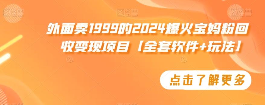外面卖1999的2024爆火宝妈粉回收变现项目【全套软件+玩法】【揭秘】-轻创副业圈