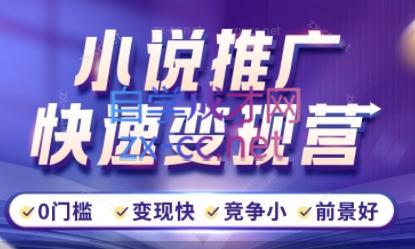 洲洲老师·小说推广快速变现营-轻创副业圈