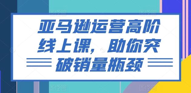 亚马逊运营高阶线上课，助你突破销量瓶颈-轻创副业圈