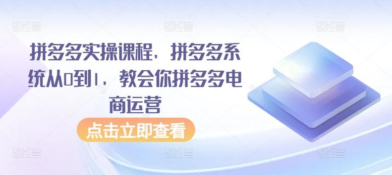 拼多多实操课程，拼多多系统从0到1，教会你拼多多电商运营-轻创副业圈