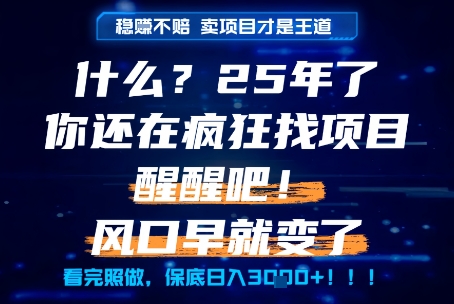什么？25年你还在疯狂找项目做，醒醒吧，看完这些你全都懂了！【揭秘】-轻创副业圈