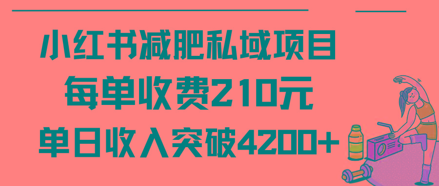 (9466期)小红书减肥私域项目每单收费210元单日成交20单，最高日入4200+-轻创副业圈