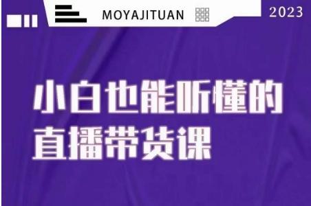 大威本威·能听懂的直播带货课，小白也能听懂，20节完整-轻创副业圈
