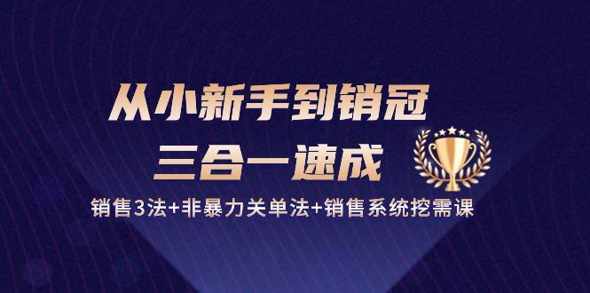 从小新手到销冠 三合一速成：销售3法+非暴力关单法+销售系统挖需课 (27节-轻创副业圈