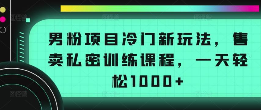 男粉项目冷门新玩法，售卖私密训练课程，一天轻松1000+【揭秘】-轻创副业圈