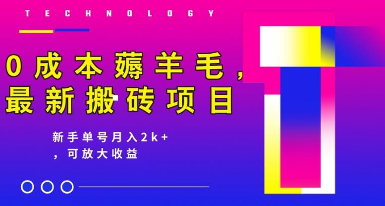 0成本薅羊毛，最新搬砖项目，新手单号月入2k+，可放大操作-轻创副业圈