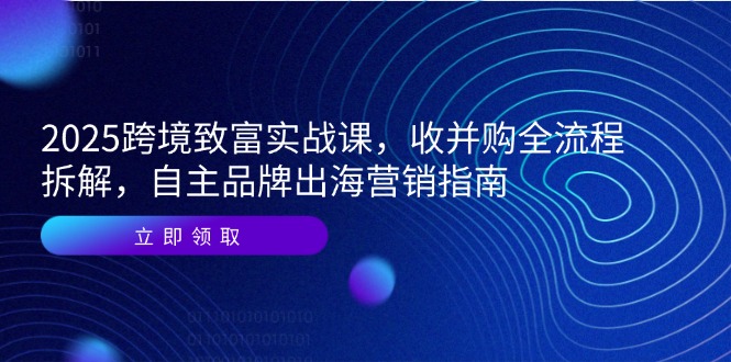 2025跨境致富实战课，收并购全流程拆解，自主品牌出海营销指南-轻创副业圈