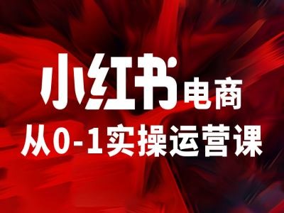 小红书电商从0-1实操运营课，让你从小白到精英-轻创副业圈