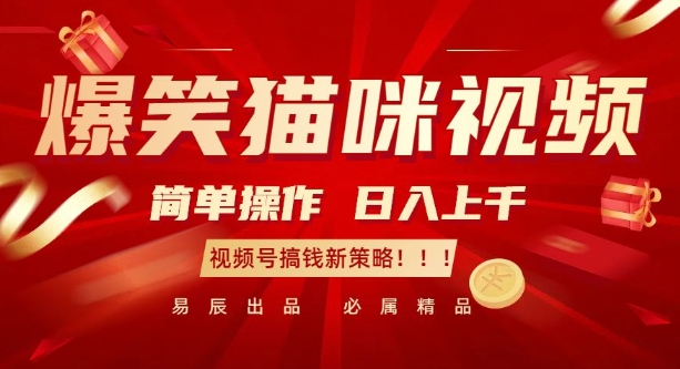 爆笑猫咪视频：简单操作，日入过K，视频号搞钱新策略【揭秘】-轻创副业圈