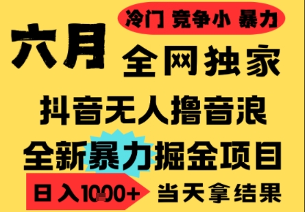 25年6月高爆抖音无人直播最新撸音浪掘金项目，小白可做，无脑日入1k+，门槛低可批量矩阵【揭秘】-轻创副业圈