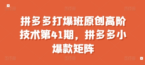 拼多多打爆班原创高阶技术第41期，拼多多小爆款矩阵-轻创副业圈