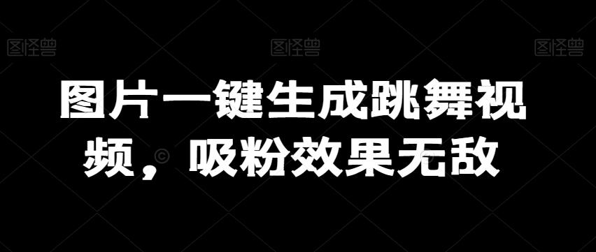 图片一键生成跳舞视频，吸粉效果无敌-轻创副业圈