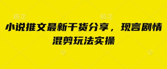 小说推文最新干货分享，现言剧情混剪玩法实操-轻创副业圈