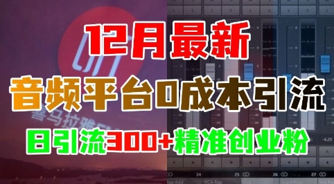 12月最新：音频平台0成本引流，日引流300+精准创业粉-轻创副业圈