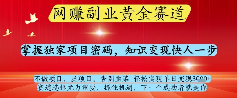 网创副业黄全赛道，掌握独家项目密码，知识变现快人一步，告别韭菜轻松实现单日变现1k+【揭秘】-轻创副业圈