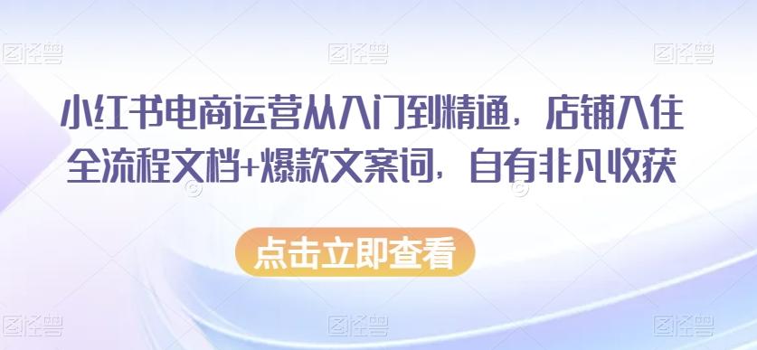 小红书电商运营从入门到精通，店铺入住全流程文档+爆款文案词，自有非凡收获-轻创副业圈
