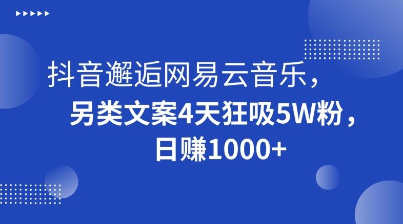 抖音邂逅网易云音乐，另类文案4天狂吸5W粉，日赚1000+【揭秘】-轻创副业圈