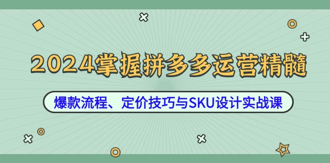 2024掌握拼多多运营精髓：爆款流程、定价技巧与SKU设计实战课-轻创副业圈