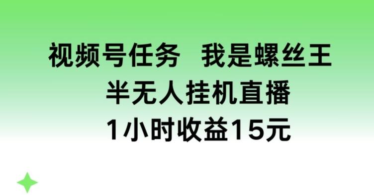 视频号任务，我是螺丝王， 半无人挂机1小时收益15元【揭秘】-轻创副业圈