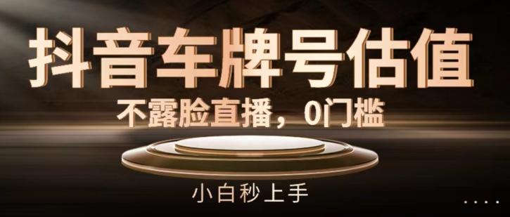 抖音车牌号估值，不露脸直播，0门槛，小白秒上手【揭秘】-轻创副业圈