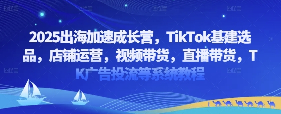 2025出海加速成长营，TikTok基建选品，店铺运营，视频带货，直播带货，TK广告投流等系统教程-轻创副业圈
