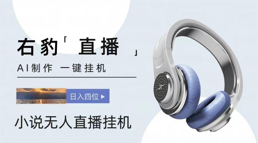 右豹小说无人直播挂机吸金项目，简单易行收益稳定， 月入1000+-轻创副业圈