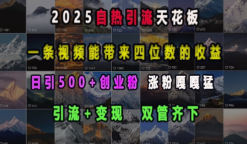 2025自热引流天花板，一条视频能带来四位数的收益，引流+变现双管齐下，日引500+创业粉，涨粉嘎嘎猛-轻创副业圈