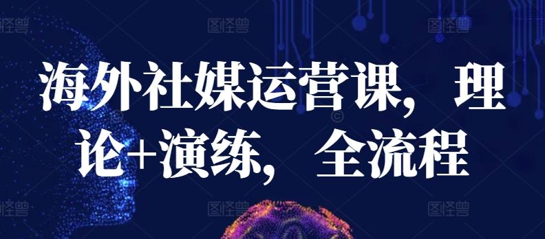 海外社媒运营课，理论+演练，全流程-轻创副业圈