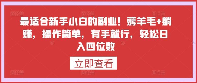最适合新手小白的副业！薅羊毛+躺赚，操作简单，有手就行，轻松日入四位数【揭秘】-轻创副业圈