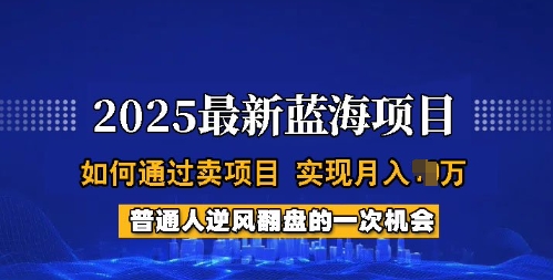 2025蓝海项目，普通人如何通过卖项目，实现月入过W，全过程【揭秘】-轻创副业圈
