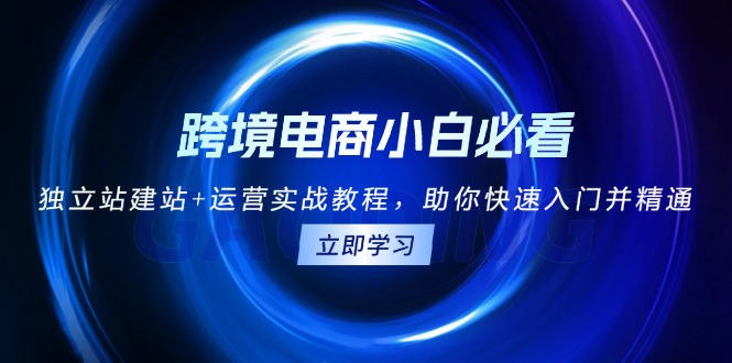 跨境电商小白必看！独立站建站+运营实战教程，助你快速入门并精通-轻创副业圈
