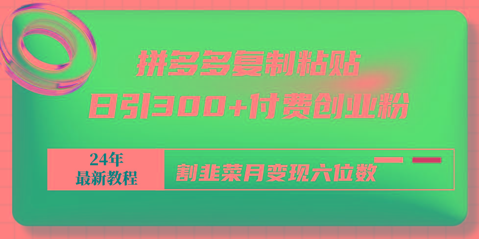 拼多多复制粘贴日引300+付费创业粉，割韭菜月变现六位数最新教程！-轻创副业圈
