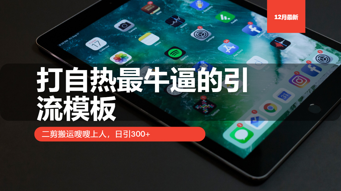 打自热最牛逼的引流模板，二剪搬运嗖嗖上人，日引300+-轻创副业圈