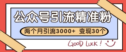 公众号精准粉引流玩法，2个月3000+精准粉，变现30个W【揭秘】-轻创副业圈