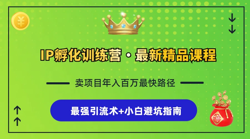 IP孵化训练营，知识付费全流程+最强引流术+小白避坑指南-轻创副业圈