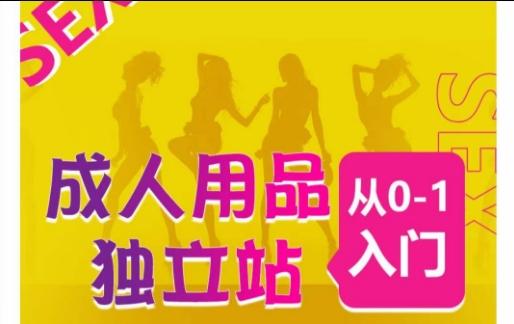 成人用品独立站从0-1入门，成品独立站运营全流程教学，七大好卖成品独立站推荐-轻创副业圈