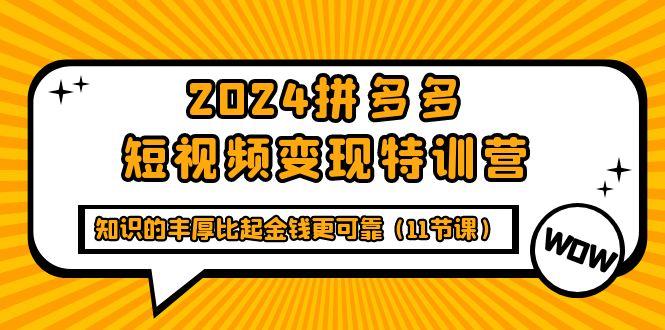 (9817期)2024拼多多短视频变现特训营，知识的丰厚比起金钱更可靠(11节课)-轻创副业圈